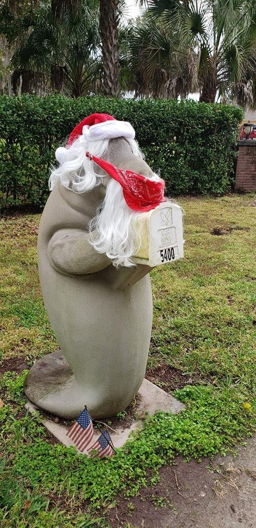 Manny Christmas to one and all!! And wear a damn mask, Manny does 24/7.