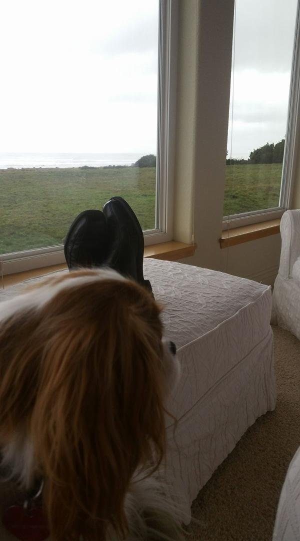 Enjoying heartfelt serenity with Cindy and her dog this morning, looking forward to an interesting day at work with each of our sons doing what they individually do best at the family bee hive.