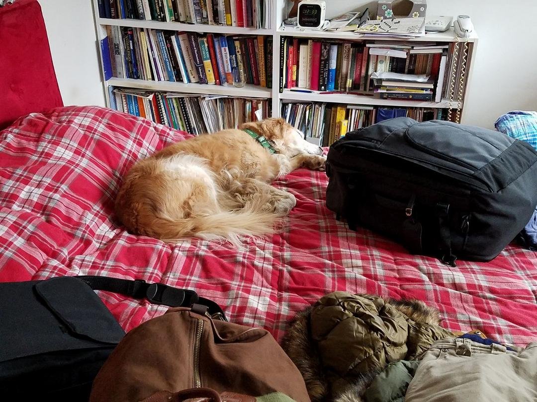 "Home! Home! So happy to be home," says Roxy.