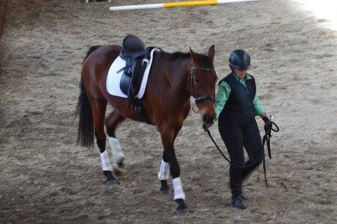 Pamela & Burney @ Foxstone