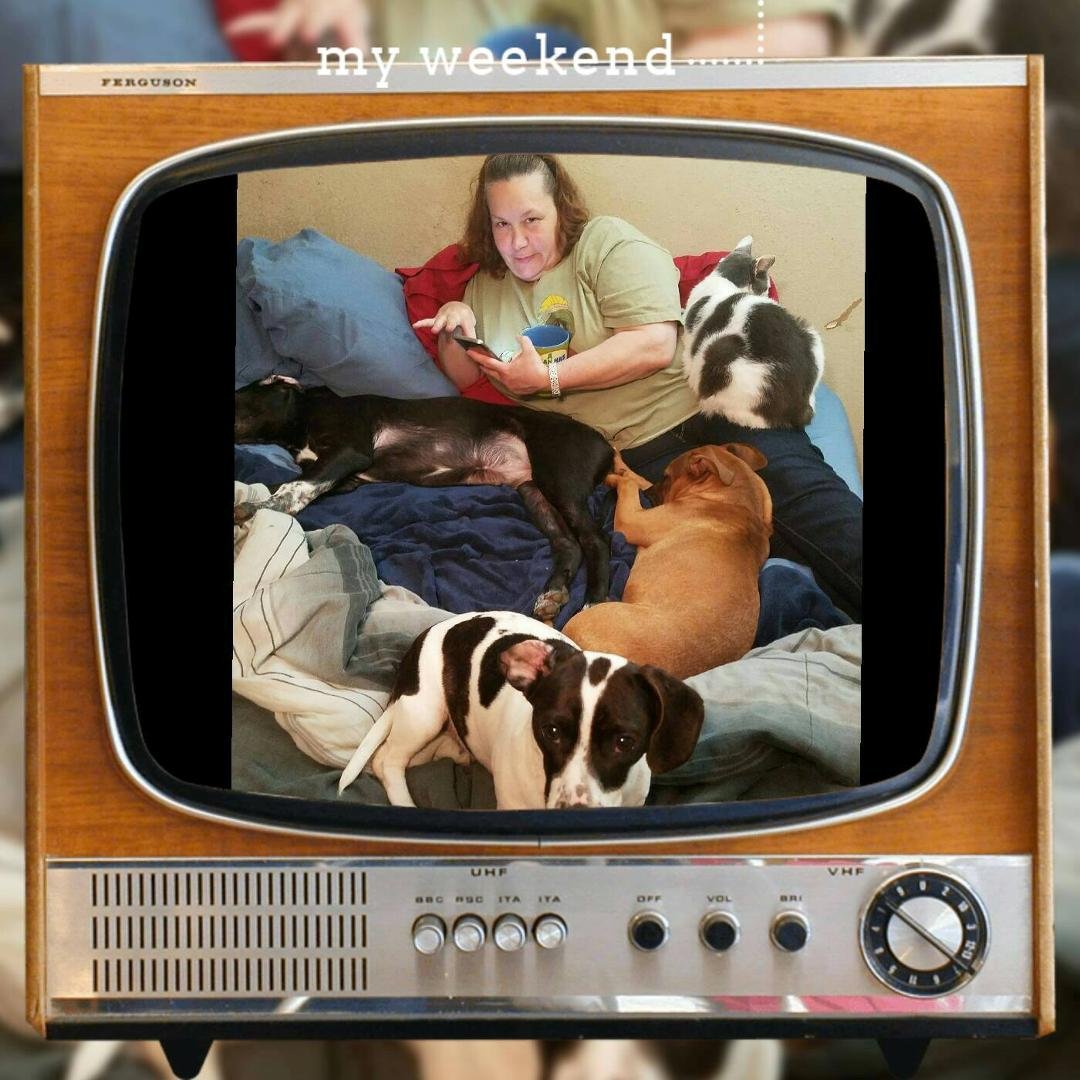 Crazy cat and dog lady