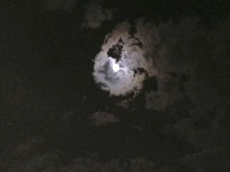 Palm Springs Saturday Night 10/21/18 7:55P