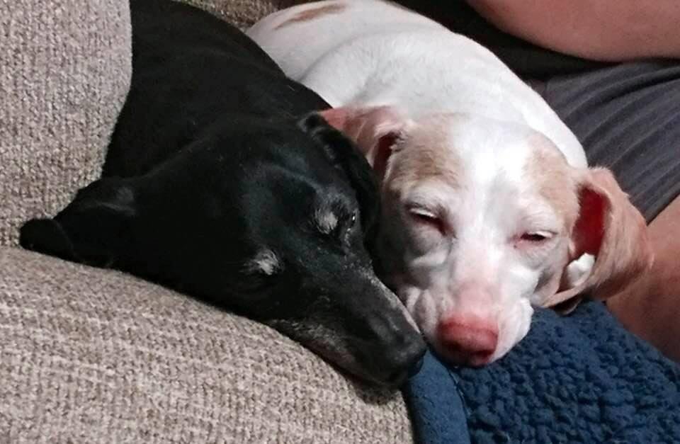 Lucy and Cammie