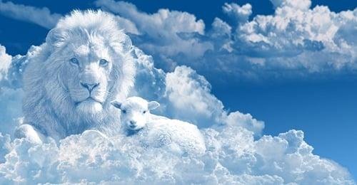 I had an amazing prophetic word over me back when I was a new believer in Christ. As the prophet spoke by the power of the Holyspirit he said, "Not only was Jesus the Lion of the Tribe of Judah but He was also the Lamb of G