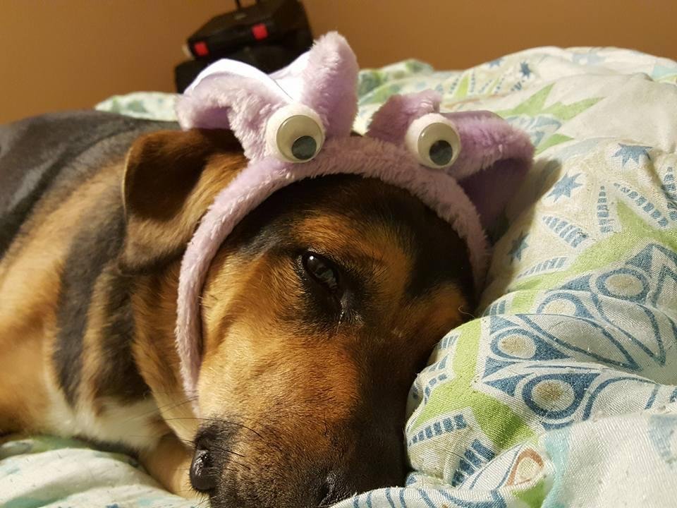 Annie , my Easter Bunny girl
