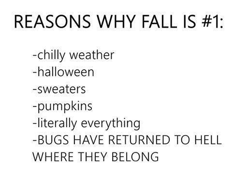 LOVE FALL!!