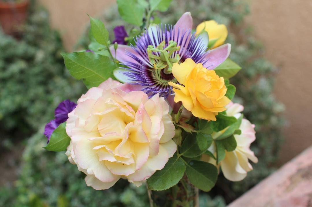 Stephen Brown's album, Timeline Photos