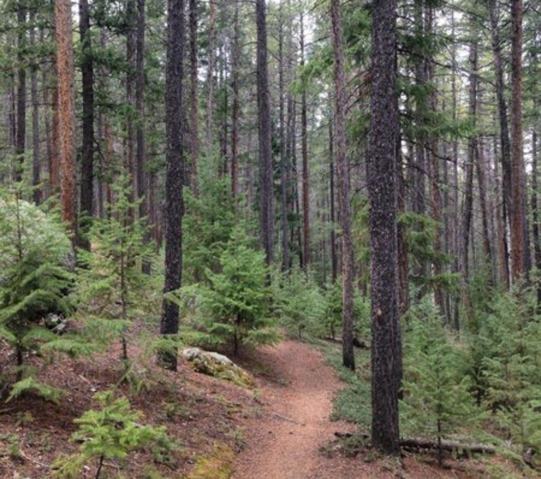 The wilderness is where we will discover what we truly hunger for—God, or the things of this world? If we allow Him to, the wilderness is where God will strip away ungodly desires and will create in us a heart that desires