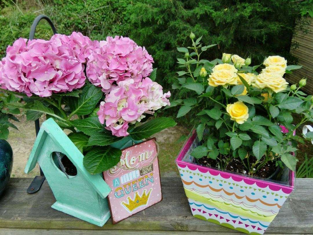 lovely flowering plants!
