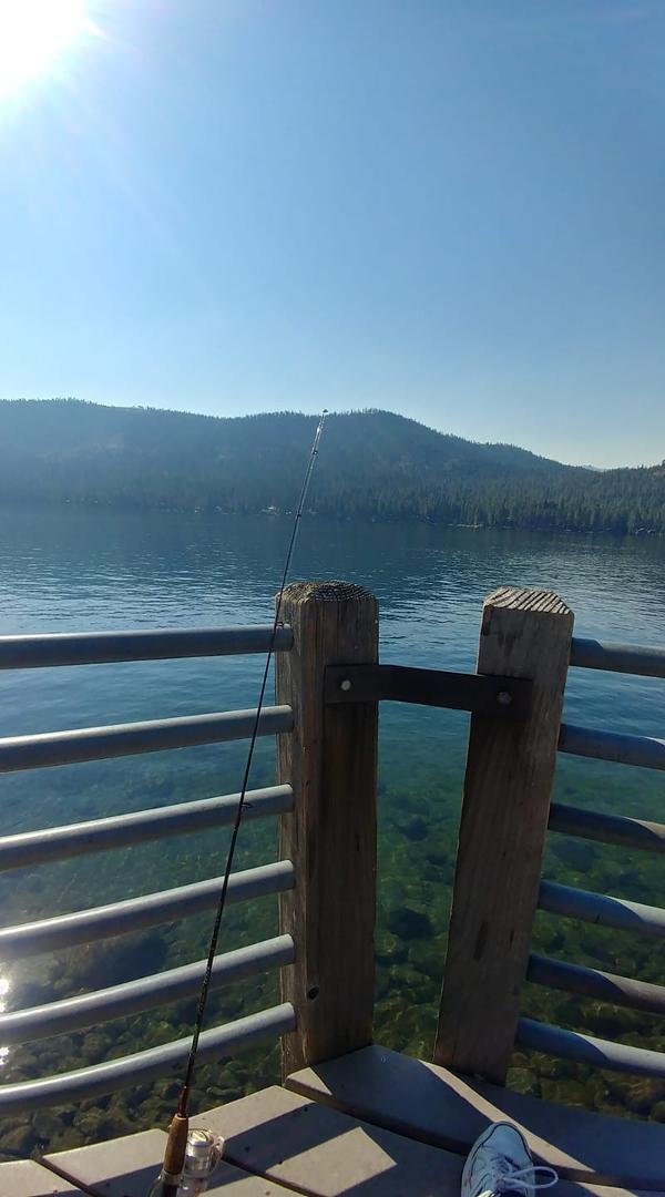 Waiting for the fish to bite on Donner Lake this morning. Nice and peaceful, the Gappers have left.