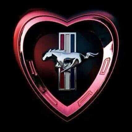 Happy Valentines Day :)