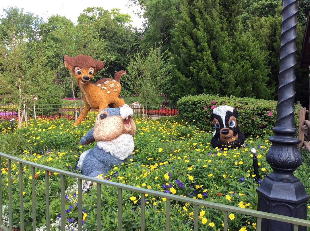 Great thing about having Disney in our backyard is getting to visit Epcot flower show.