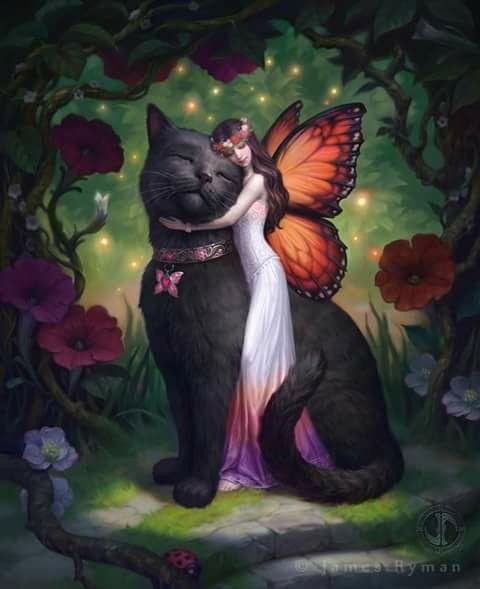 Stephen Becker's album, Timeline Photos