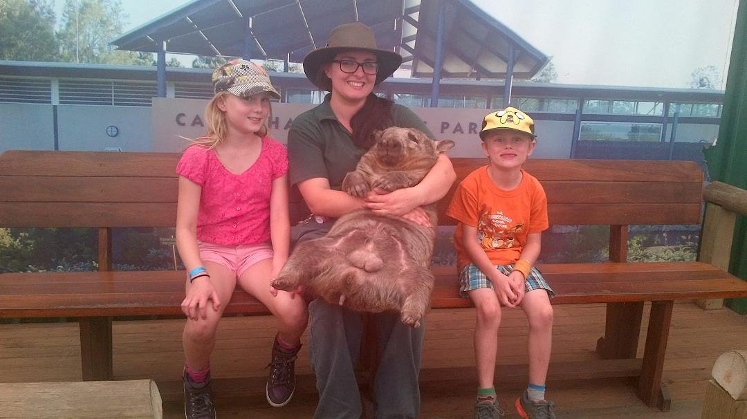 It's hug a wombat time!
