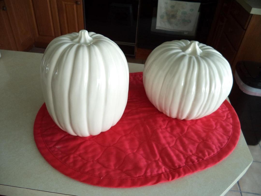 Keeping busy with Classic White Pumpkins....