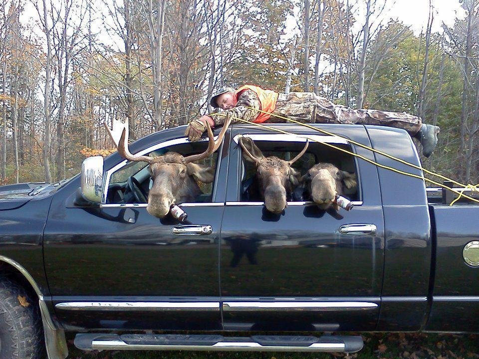 Hunting season must be open...
