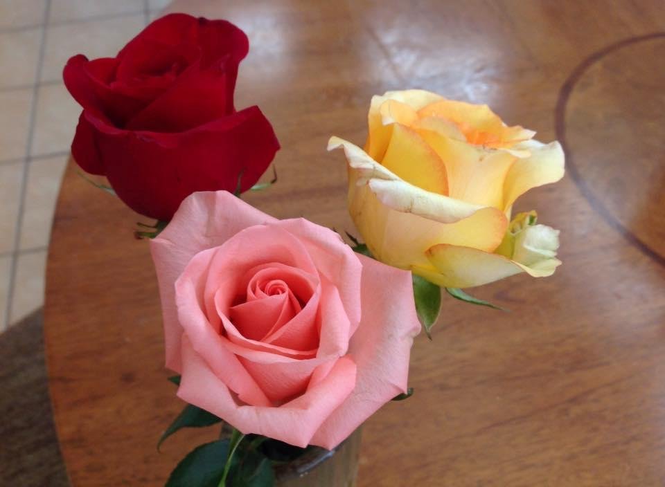 From my Michelle AndKenny Taylor! Beautiful! Thanks!!