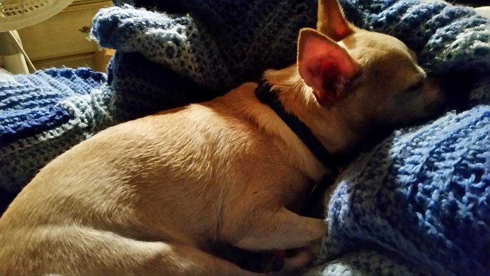 My sweet baby J.J sleeping. .