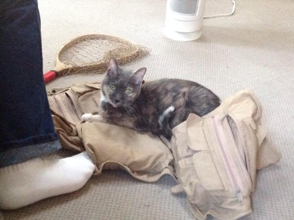 I think Monet wants to go fishing.