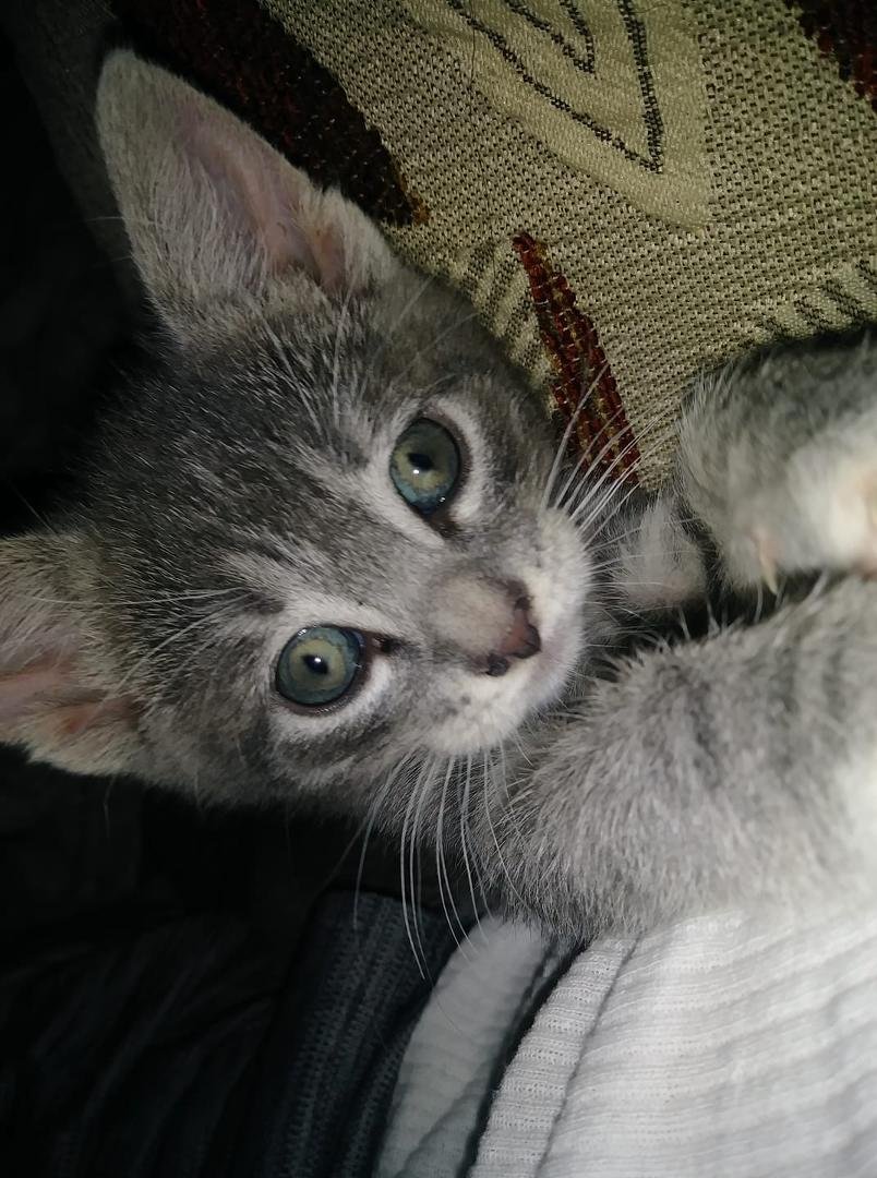 Our baby ..