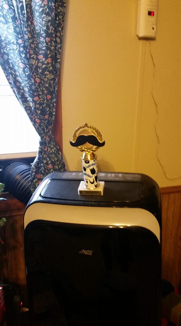 Look at this I won it for best fake face hair