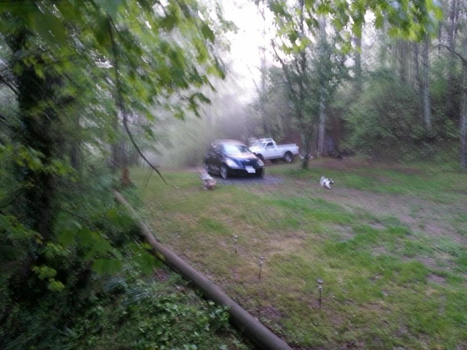 I wish you could hear the stream running