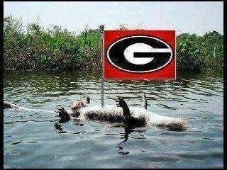 Only a special gator would understand