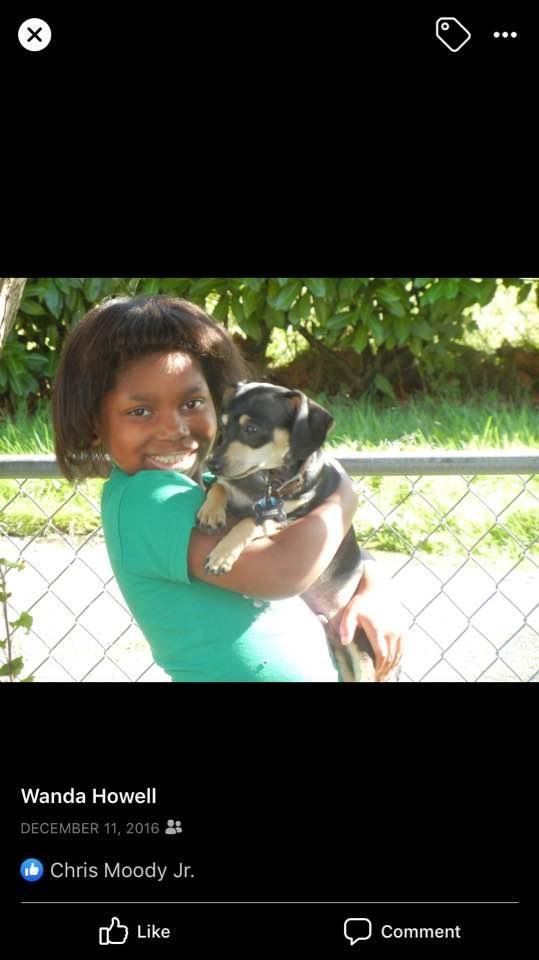 Bronx when he was a puppy