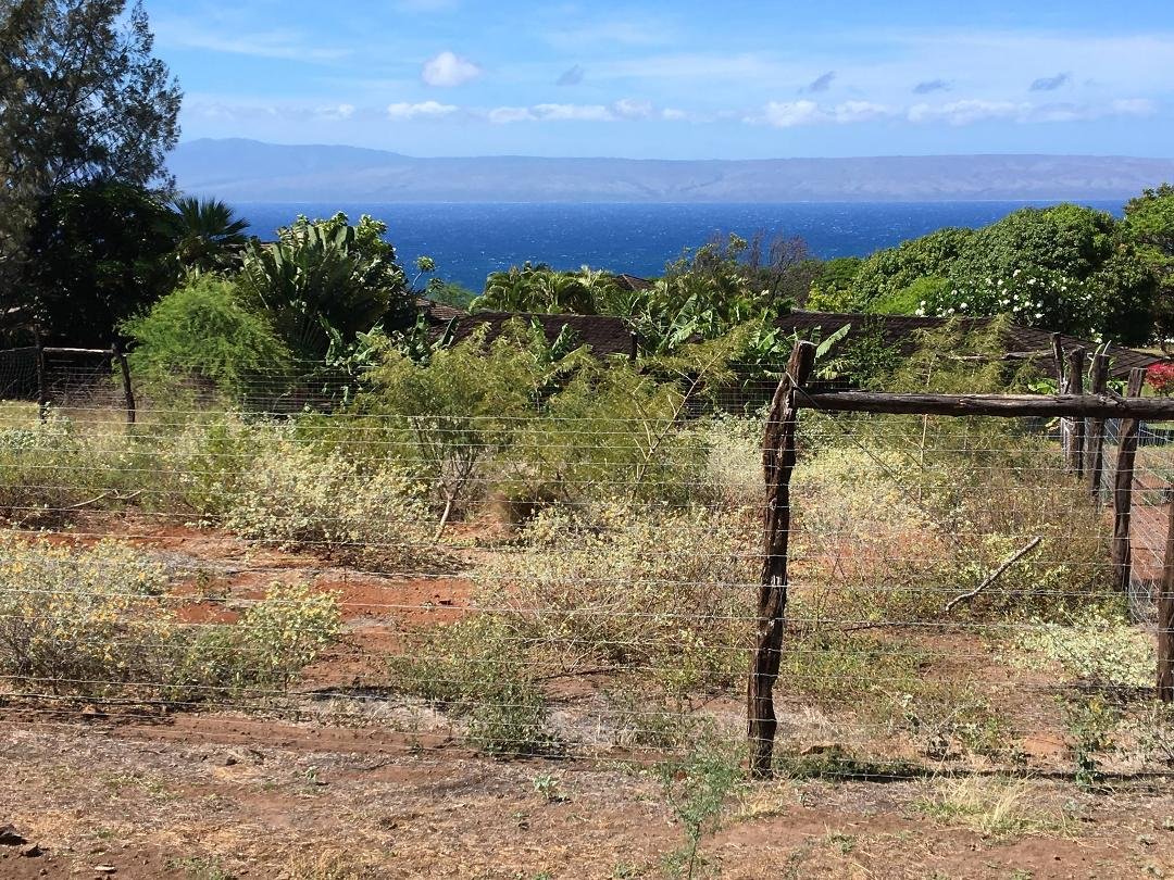 View of Lanai from Molokai