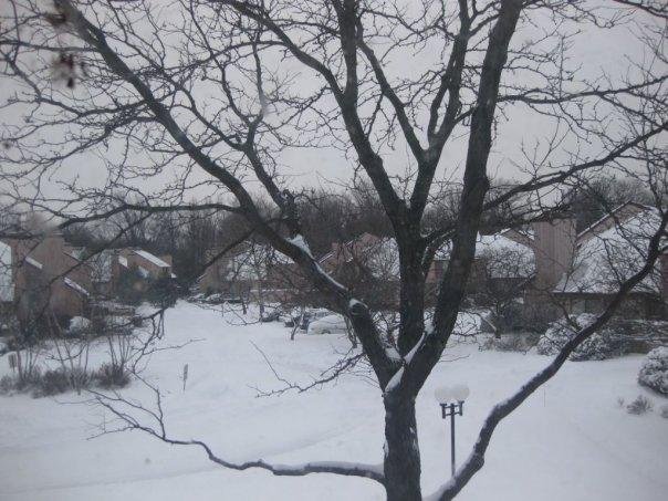 It's a lovely winter wonderland, and I'm happy to be looking at it from INside :)