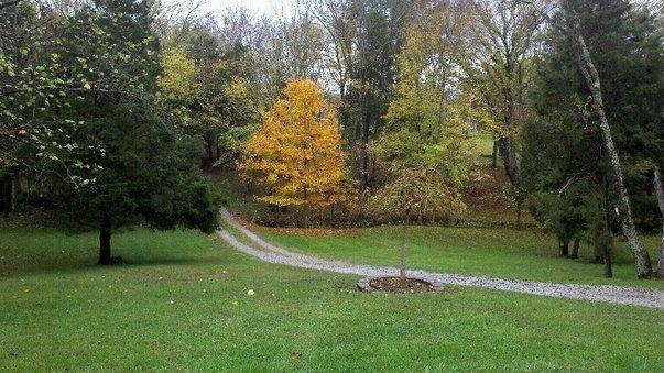Fall in La Grange, Ky