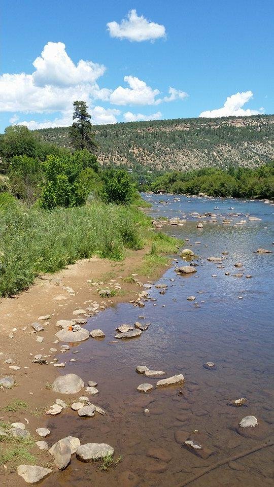What a great day for a walk on the Animas trail