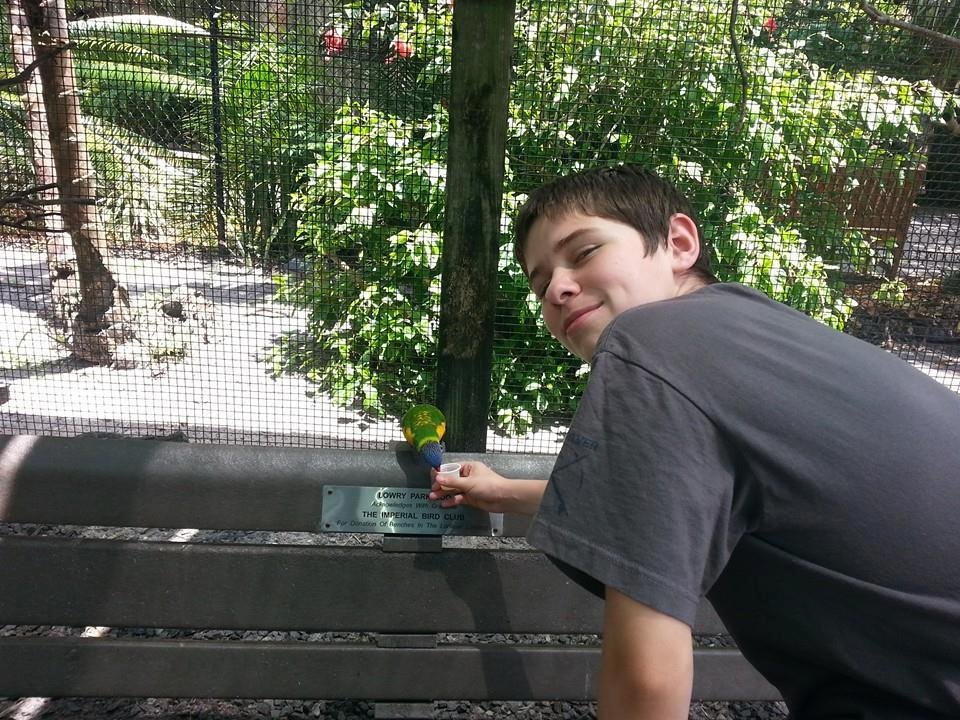 This is a picture of my grandson, Brenden. He is leaving in the morning for a glass trip to Washington D. C. . They will be traveling by a charter bus. Please say a little prayer for his safe return home to all of us that