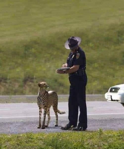 This is just plain hilarious!