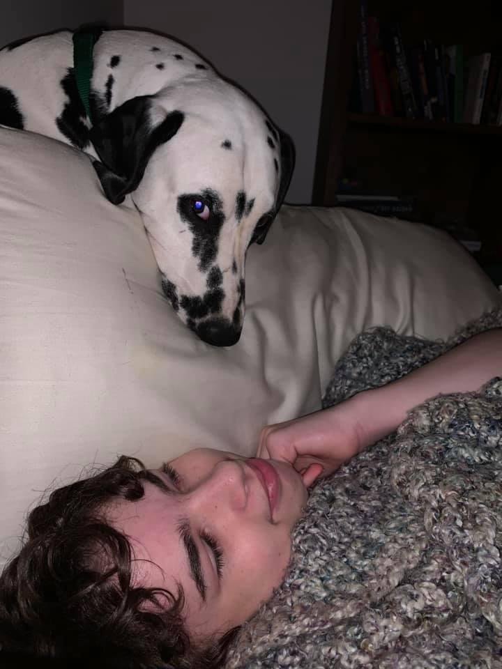 The Snoopy Vulture dog does not like the human child who is trying to take his spot next to the master