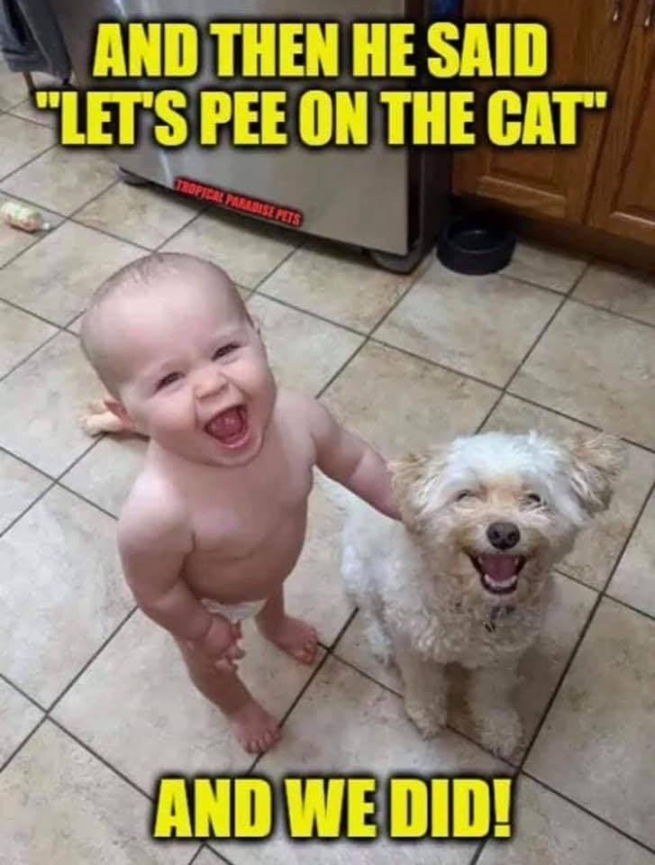 Two wise guys!