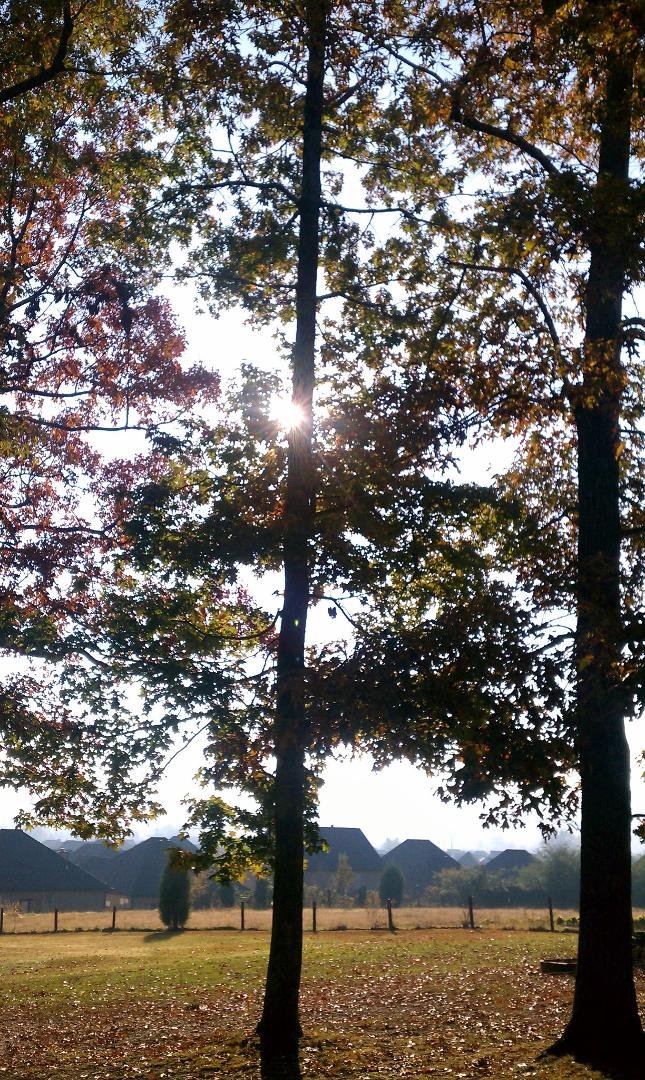 Beautiful fall morning