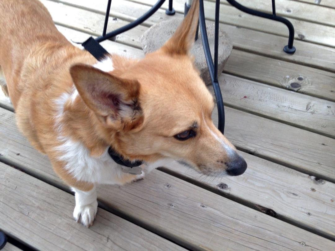 Ted Neis' album, iOS Photos