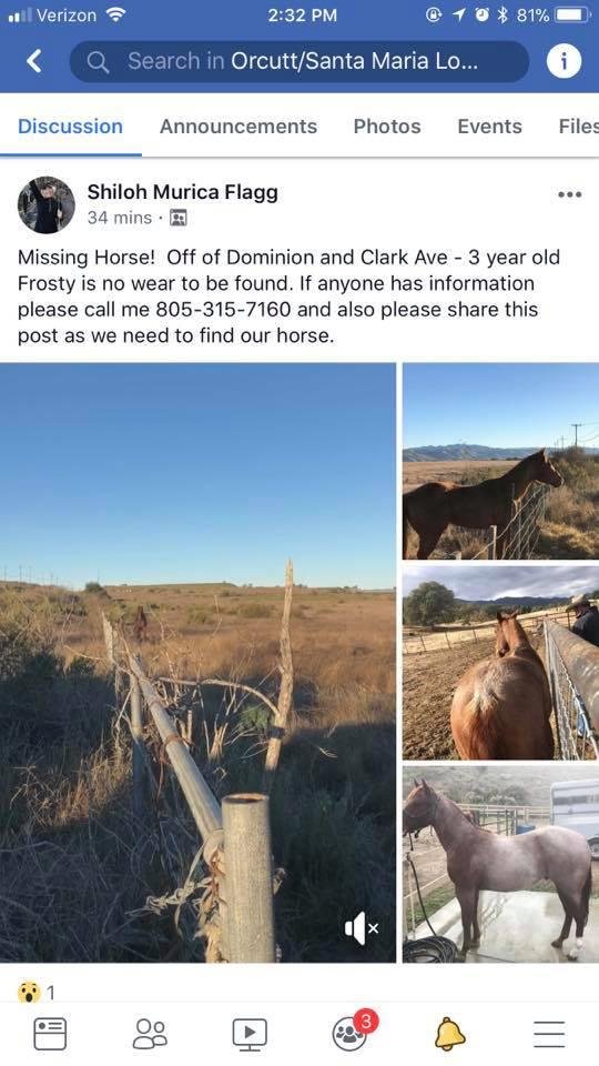 Debbie Hendricks' album, Mobile Uploads