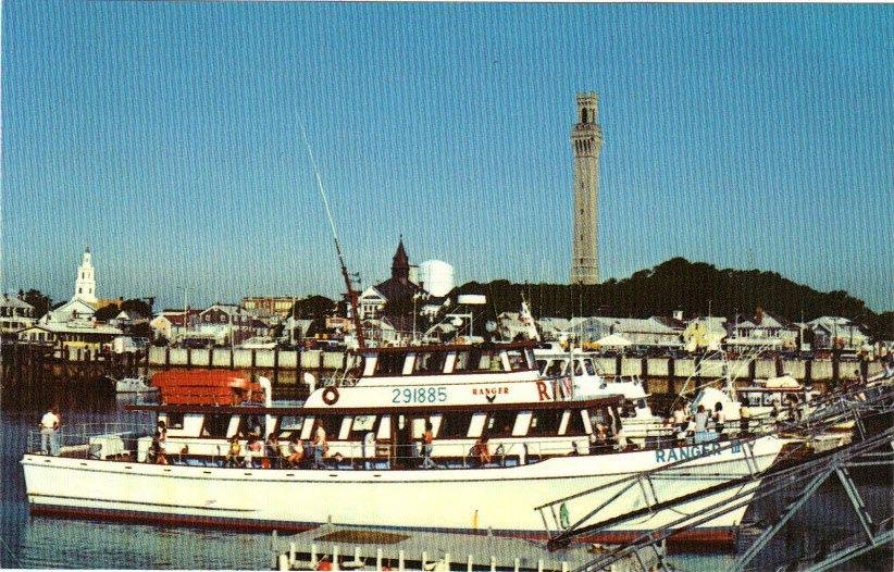 Whale Watching Days