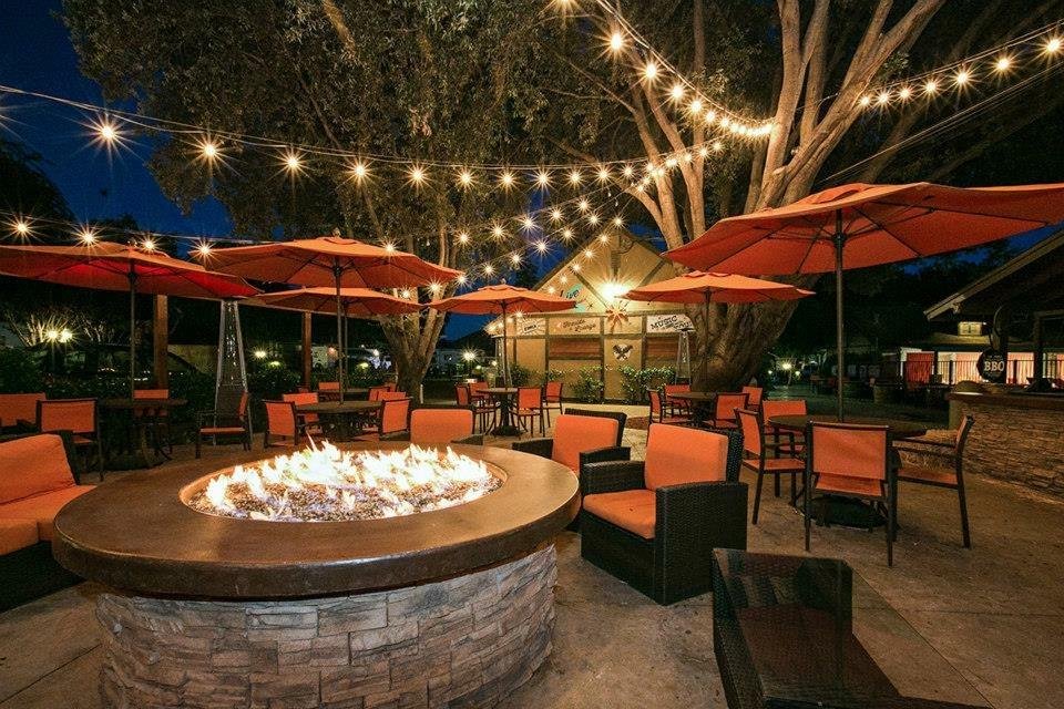 Michael Cook's album, Timeline Photos