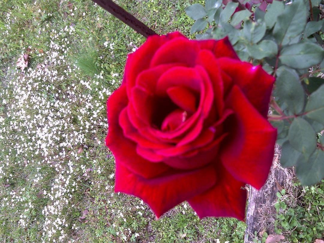 Peter Schwab's album, Timeline Photos