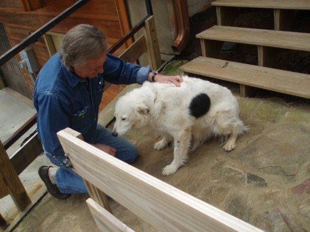 Cal Worthington....OOPS, I mean Jon Dahlstrom and his Dog Spot