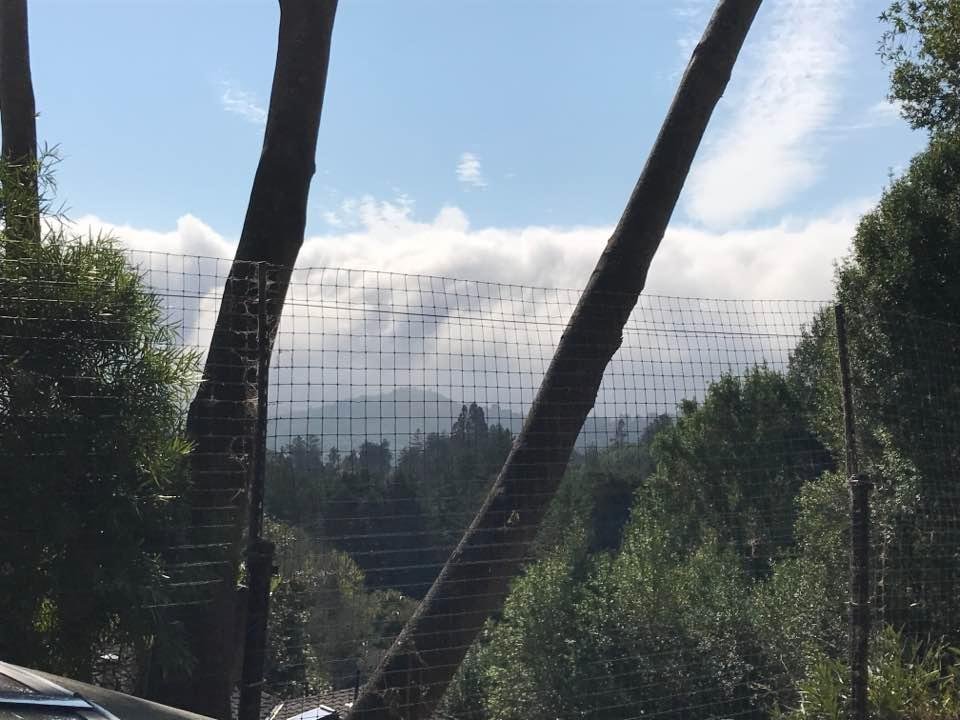 Glorious fog!!!!