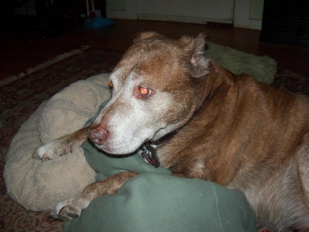Grace aka la bella Graciella