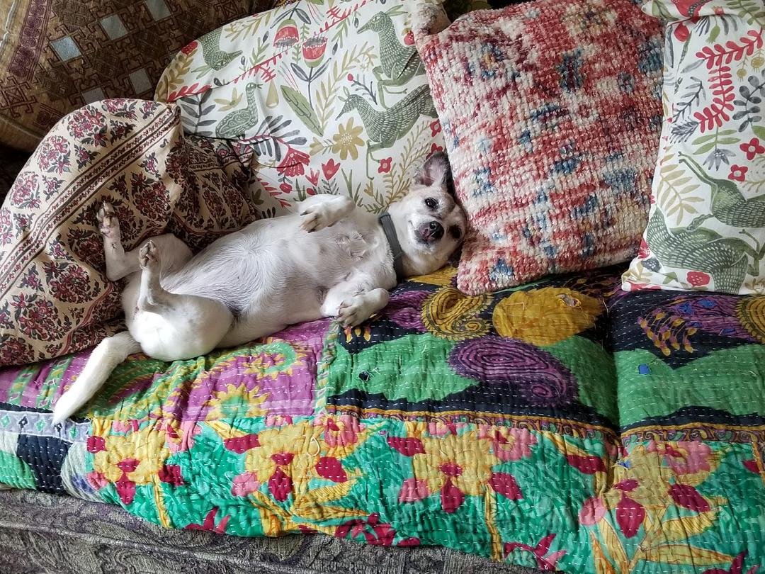 Carli says it's hot even with the ac cranked up!