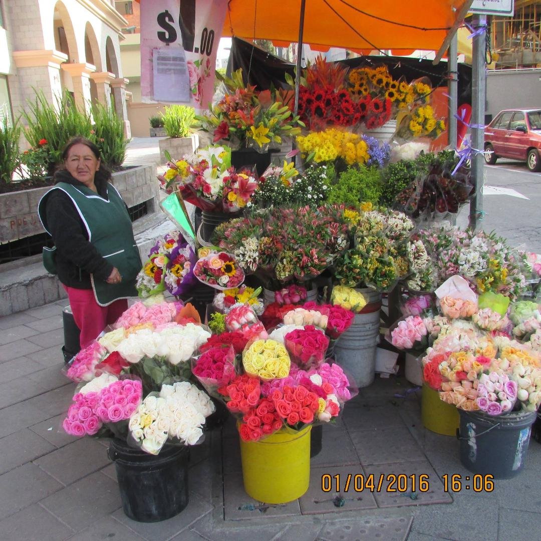 Flower vendor in Quito, Ecuador. Roses-- $ 1.00 per dozen