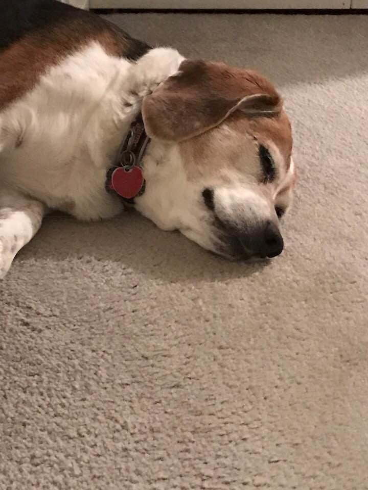 Smiling cause she loves us! So content!!❤️