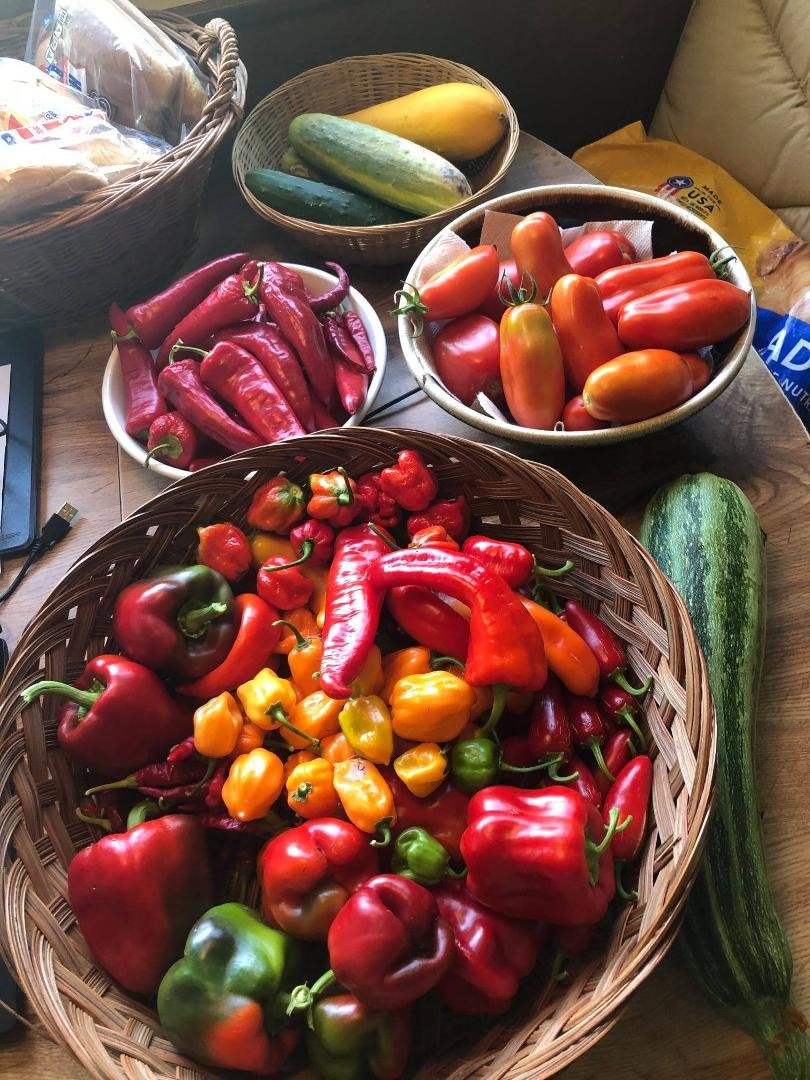 Todays harvest........