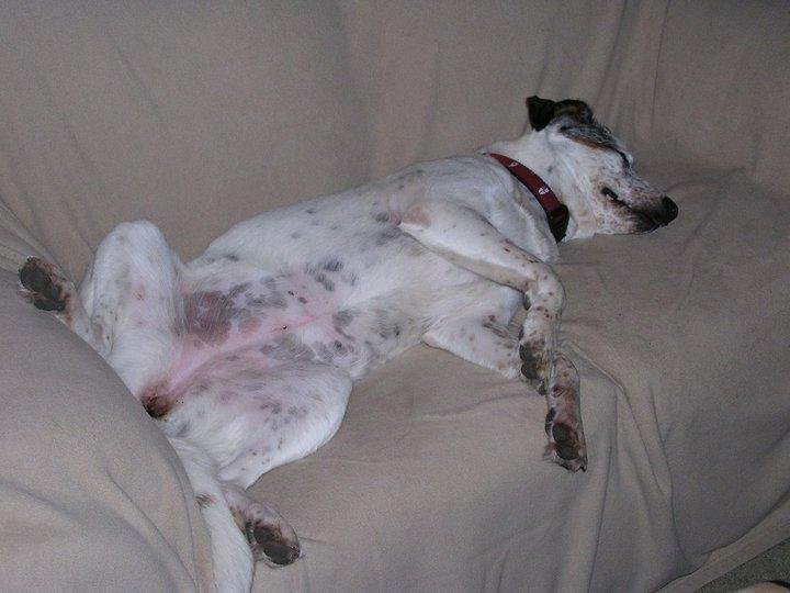 Sheila just kicking back. The easy life at the Andersons.